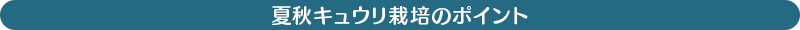 促成栽培のポイント