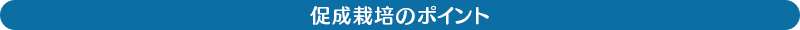 促成栽培のポイント