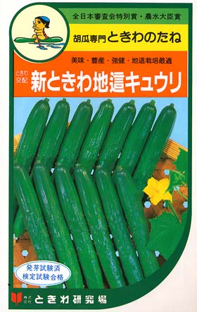 新ときわ地這キュウリ