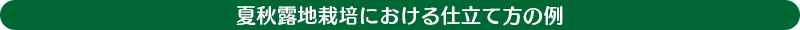 夏秋露地栽培における仕立て方の例