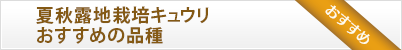 促成・半促成栽培 キュウリおすすめの品種