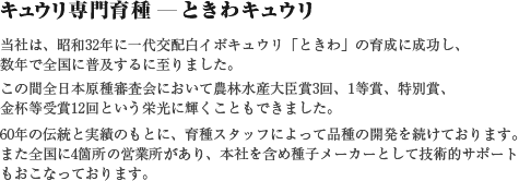 キュウリ専門育種ーときわキュウリ