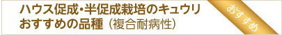 ハウス抑制栽培キュウリおすすめの品種
